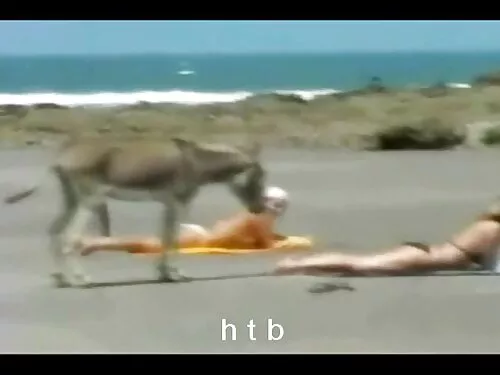 مواجهة سكس محرمات مت ...