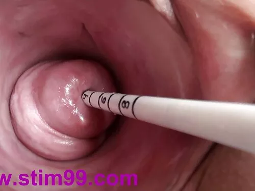 مشهد سكس عربي عالمي  ...