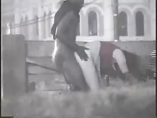 فيديو طويل الأرجل تح ...