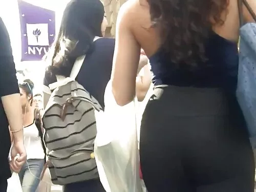 محافظ حركة Doggystyl ...