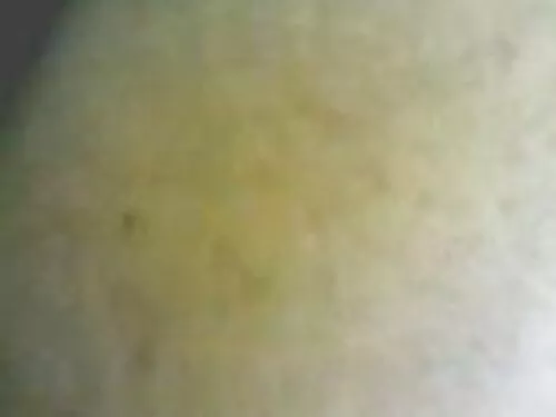 فيلم المهمة مع قرنية ...