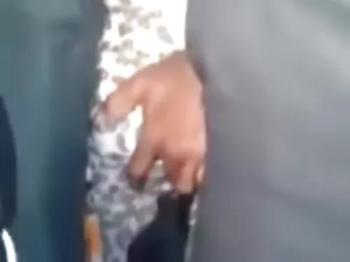 فرقعة راعية البقر ال ...